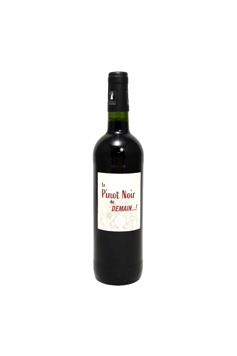 Domaine Gournier Demain Pinot Noir 2021