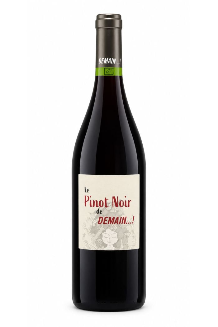 Domaine de Gournier Demain Pinot Noir (bio) 2023